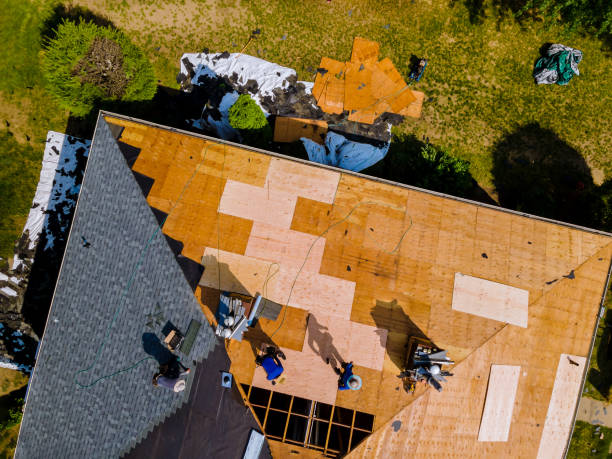 Best Metal Roofing Contractor  in Laurel Hill, NC